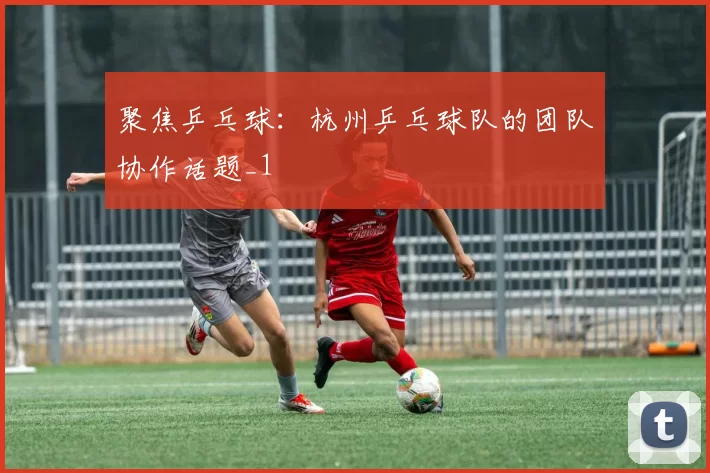 聚焦乒乓球：杭州乒乓球队的团队协作话题_1