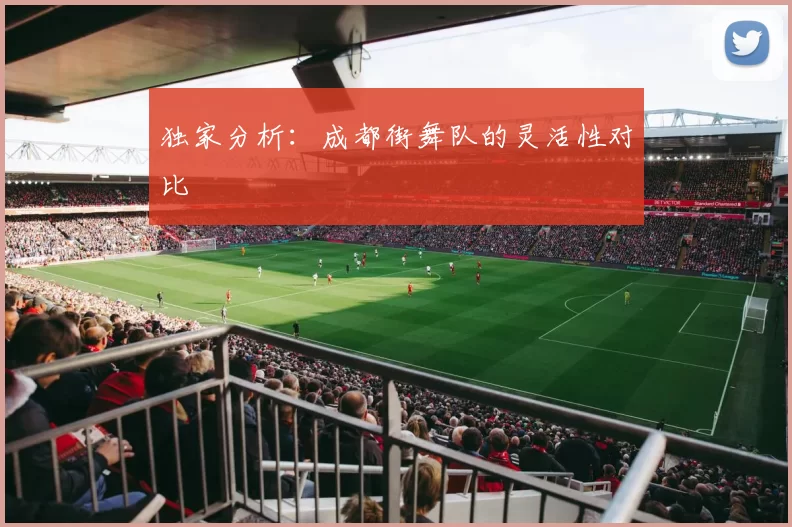 独家分析：成都街舞队的灵活性对比