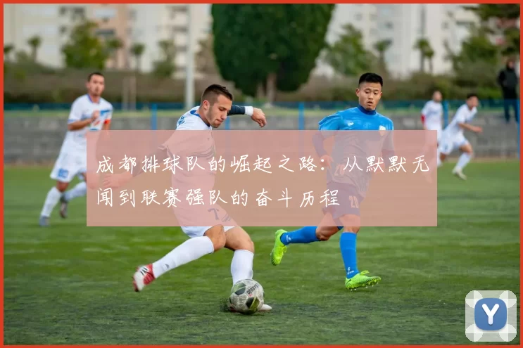 成都排球队的崛起之路：从默默无闻到联赛强队的奋斗历程