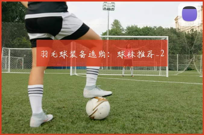 羽毛球装备选购：球袜推荐_2