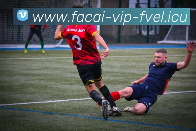 乐鱼体育平台生态图