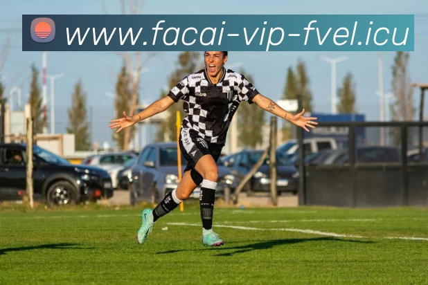 乐鱼体育APP 封面图